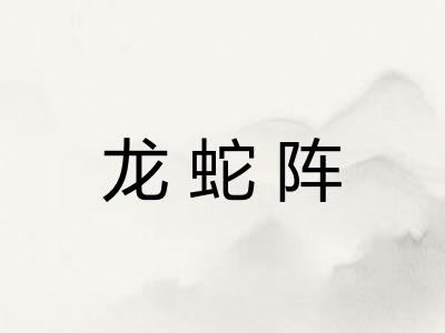 龙蛇阵