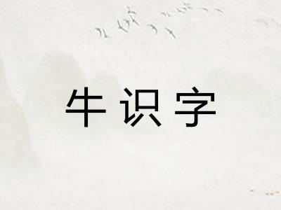 牛识字