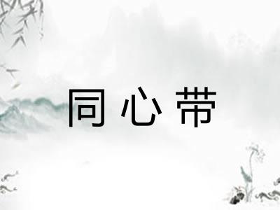 同心带 同心带