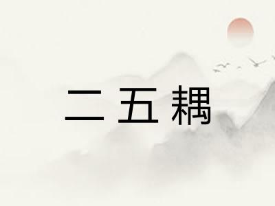 二五耦 二五耦