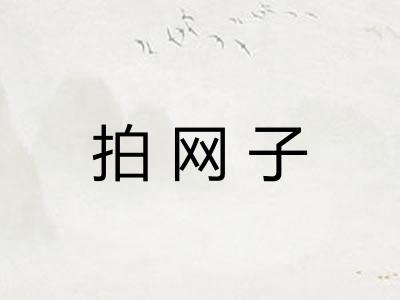 拍网子 拍网子
