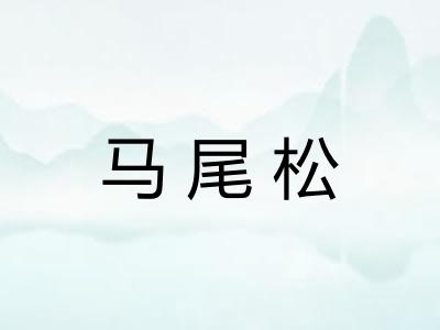 马尾松 马尾松