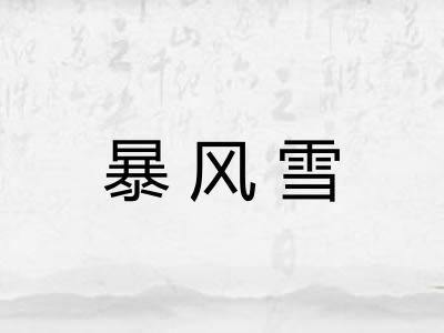 暴风雪 暴风雪
