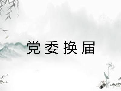 党委换届 党委换届