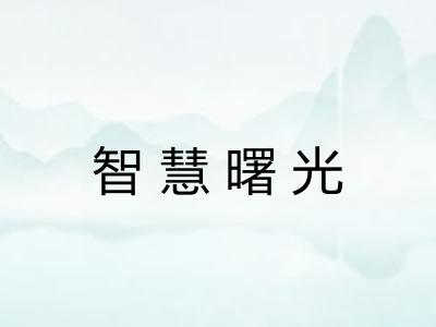 智慧曙光 智慧曙光
