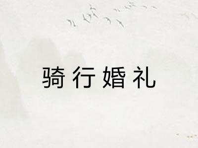 骑行婚礼 骑行婚礼