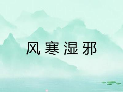 风寒湿邪 风寒湿邪