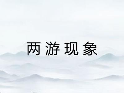 两游现象