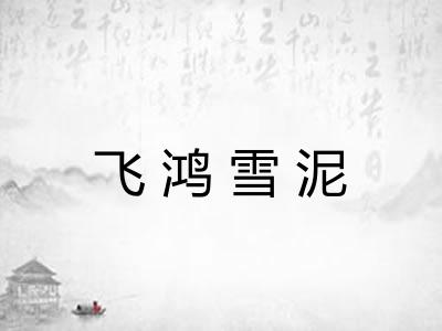 飞鸿雪泥