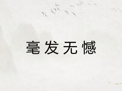 毫发无憾 毫发无憾