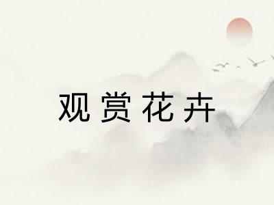 观赏花卉 观赏花卉