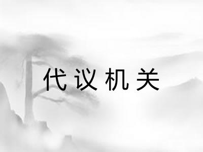 代议机关 代议机关