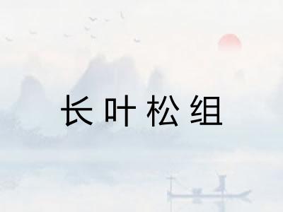 长叶松组 长叶松组