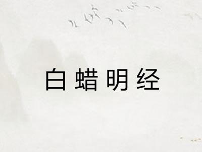 白蜡明经 白蜡明经