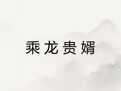 乘龙贵婿 乘龙贵婿