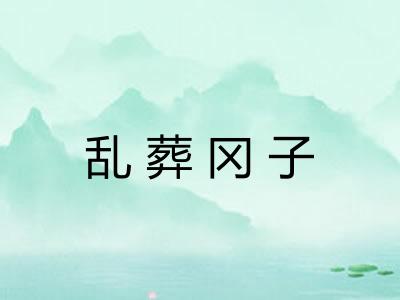 乱葬冈子 乱葬冈子