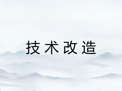 技术改造 技术改造