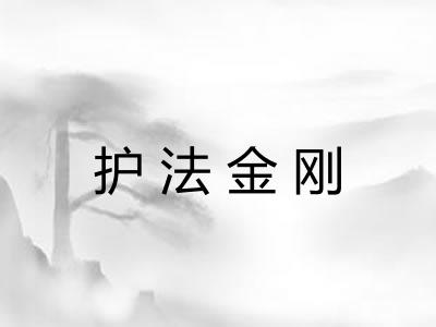 护法金刚 护法金刚