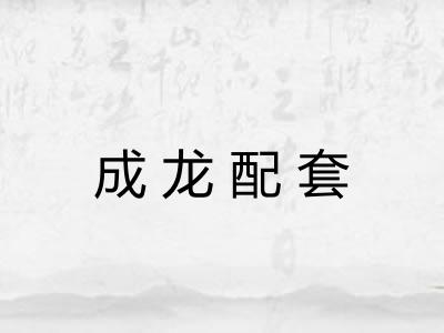 成龙配套 成龙配套