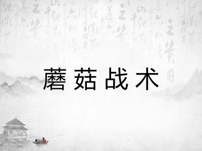 蘑菇战术 蘑菇战术