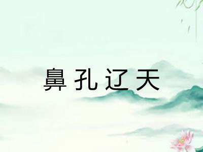鼻孔辽天 鼻孔辽天