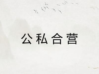 公私合营