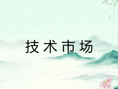 技术市场 技术市场