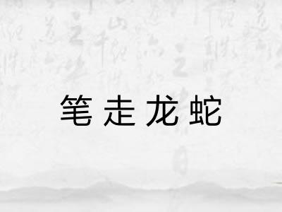 笔走龙蛇 笔走龙蛇