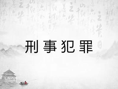 刑事犯罪 刑事犯罪