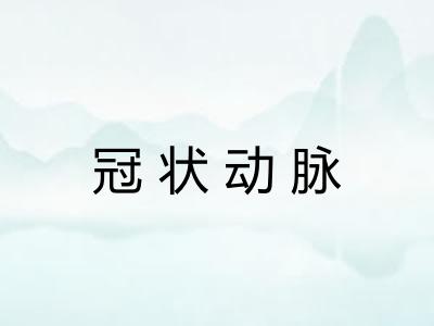 冠状动脉 冠状动脉