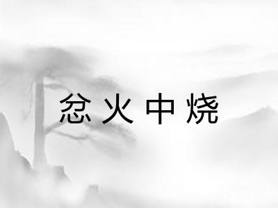 忿火中烧 忿火中烧