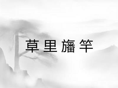 草里旛竿 草里旛竿