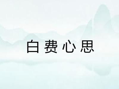 白费心思 白费心思