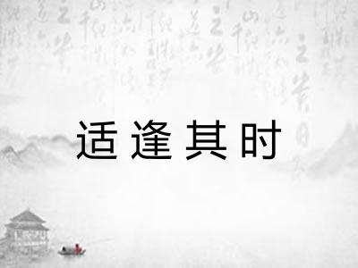 适逢其时 适逢其时