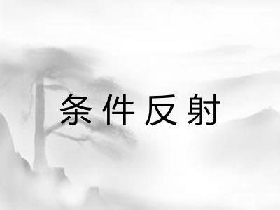 条件反射 条件反射