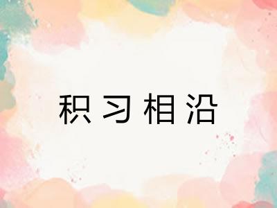 积习相沿 积习相沿