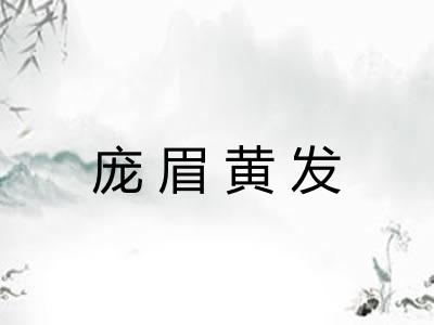 庞眉黄发 庞眉黄发