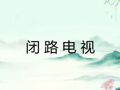 闭路电视 闭路电视