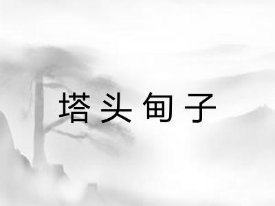 塔头甸子 塔头甸子