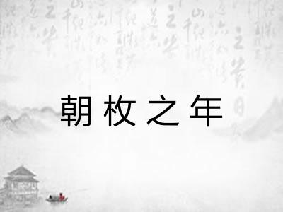 朝枚之年