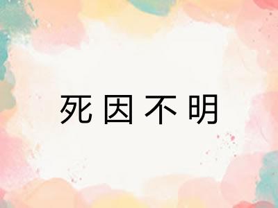 死因不明 死因不明