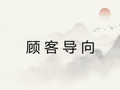 顾客导向 顾客导向