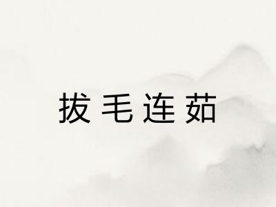 拔毛连茹 拔毛连茹