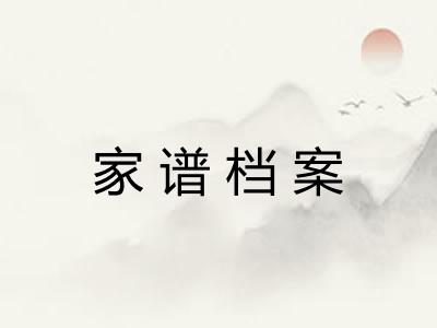 家谱档案 家谱档案