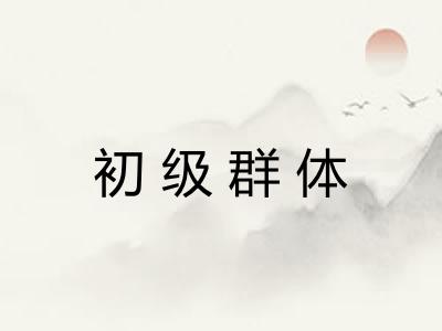 初级群体