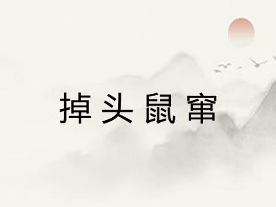 掉头鼠窜 掉头鼠窜