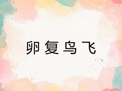 卵复鸟飞 卵复鸟飞