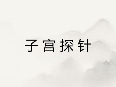 子宫探针 子宫探针