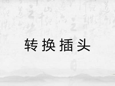转换插头 转换插头