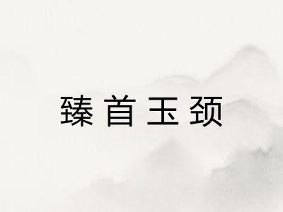 臻首玉颈 臻首玉颈